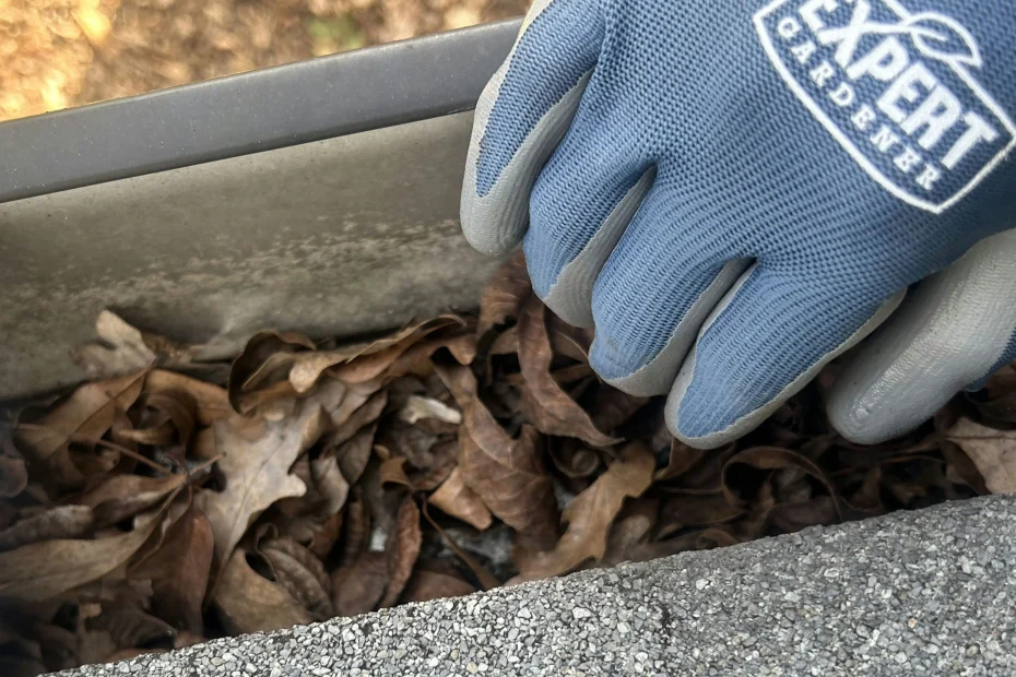 Gutter Cleaning Fountain Inn