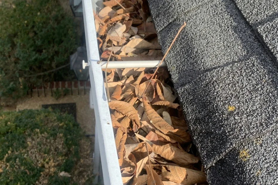 Gutter Cleaning Fountain Inn